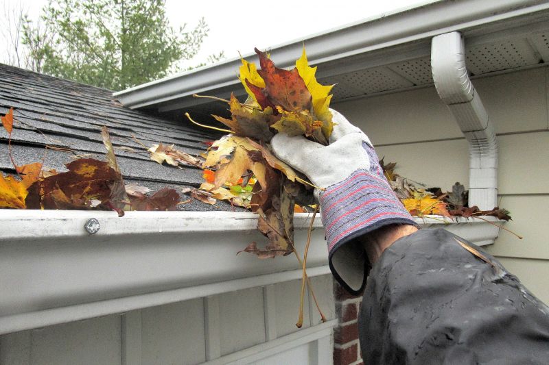 Gutter Leaves Removal detail