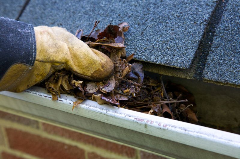 Debris Removal from Gutters