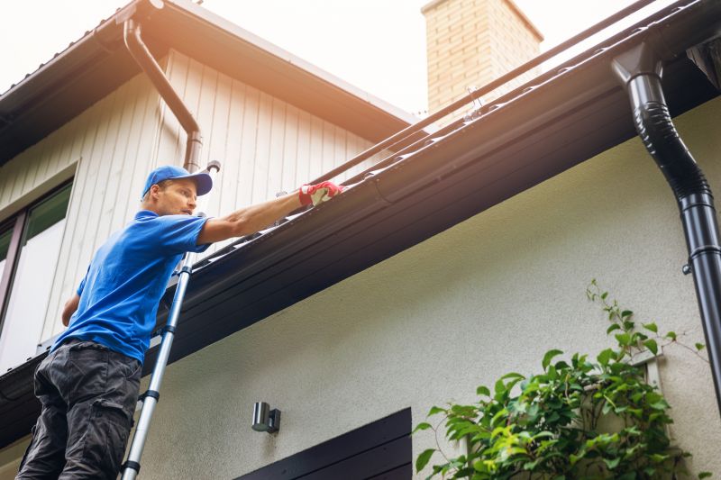 Gutter Maintenance Packages