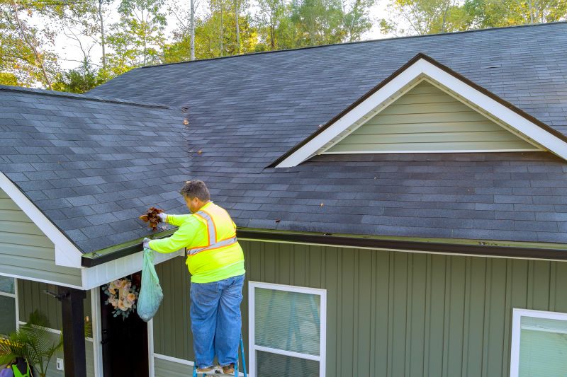 Gutter Cleaning