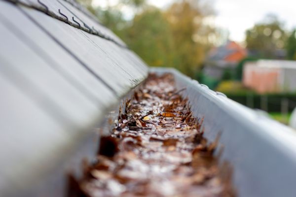 Commercial Gutter Cleaning in Albany