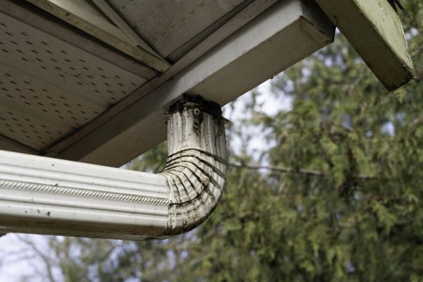 Downspout Cleaning in Albany