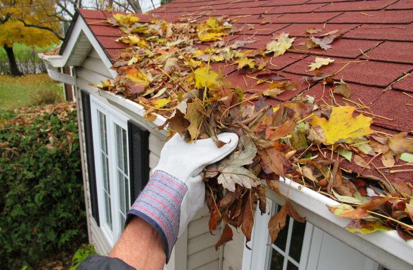 Rain Gutter Cleaning Service in Albany