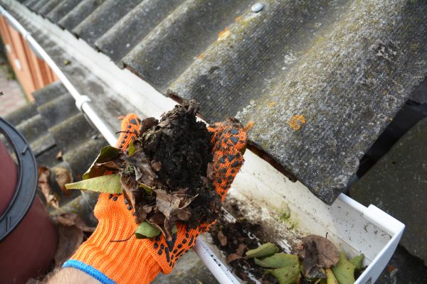 Cost of Seamless Gutter Cleaning in Albany