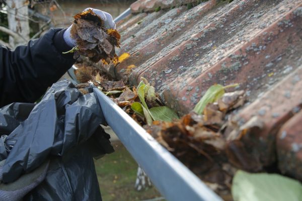 Commercial Gutter Unclogging in Albany