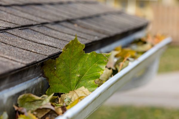 Commercial Downspout Cleaning in Albany
