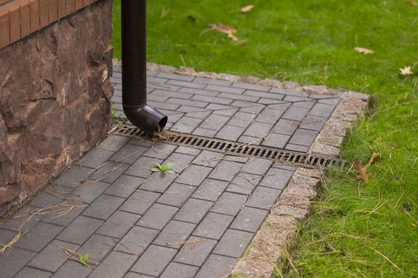 Gutter Drain Maintenance in Albany