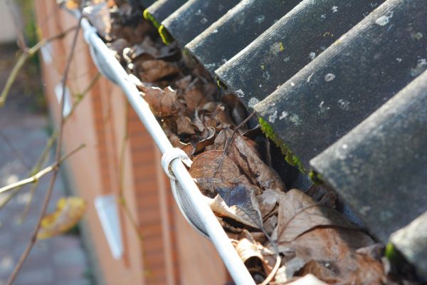 Cost of Home Gutter Cleaning in Albany