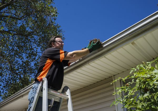 Eavestrough Clearing in Albany