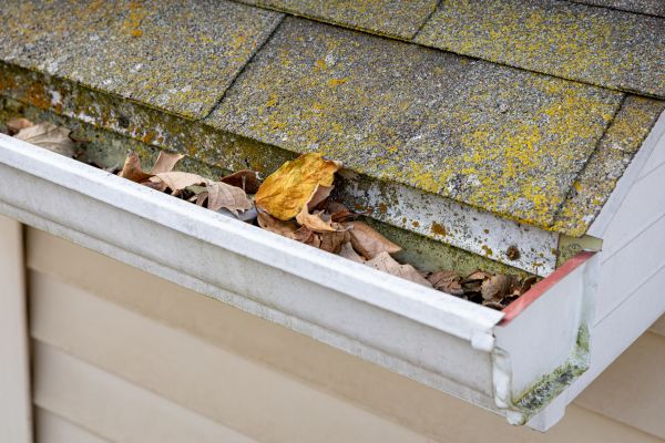 Garage Gutter Cleaning in Albany
