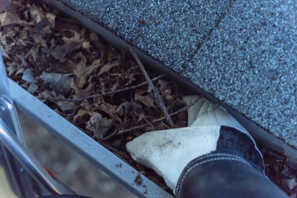 Church Gutter Cleaning in Albany